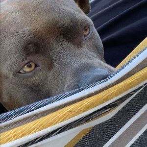 Meet your Posher, Jan